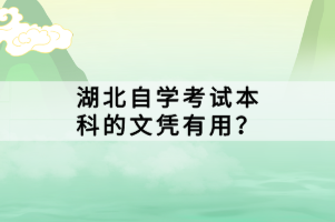 湖北自學(xué)考試本科的文憑有用？