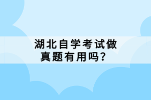 湖北自學(xué)考試做真題有用嗎？