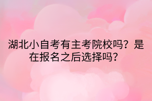 湖北小自考有主考院校嗎？是在報名之后選擇嗎？