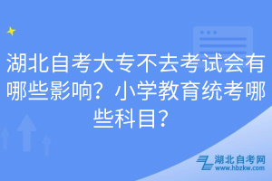 湖北自考大專不去考試會(huì)有哪些影響？小學(xué)教育統(tǒng)考哪些科目？