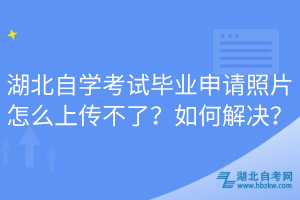 湖北自學(xué)考試畢業(yè)申請照片怎么上傳不了？如何解決？