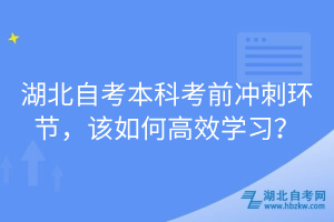 湖北自考本科考前沖刺環(huán)節(jié)，該如何高效學(xué)習(xí)？