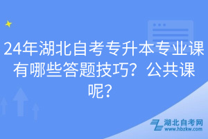 24年湖北自考專升本專業(yè)課有哪些答題技巧？公共課呢？