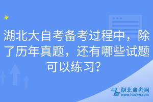 湖北大自考備考過程中，除了歷年真題，還有哪些試題可以練習(xí)？