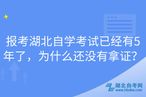 報(bào)考湖北自學(xué)考試已經(jīng)有5年了，為什么還沒有拿證？