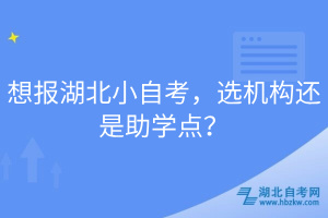 想報湖北小自考，選機(jī)構(gòu)還是助學(xué)點？