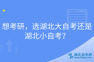 想考研，選湖北大自考還是湖北小自考？