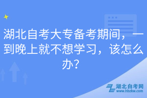 湖北自考大專備考期間，一到晚上就不想學(xué)習(xí)，該怎么辦？