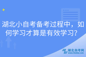 湖北小自考備考過程中，如何學(xué)習(xí)才算是有效學(xué)習(xí)？