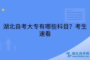 湖北自考大專有哪些科目？考生速看