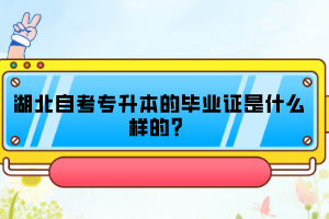 湖北自考專升本的畢業(yè)證是什么樣的？