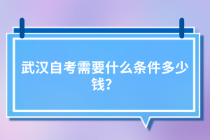 武漢自考需要什么條件多少錢？