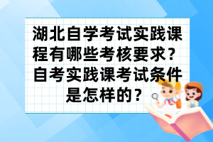 湖北自學(xué)考試實(shí)踐課程有哪些考核要求？自考實(shí)踐課考試條件是怎樣的？