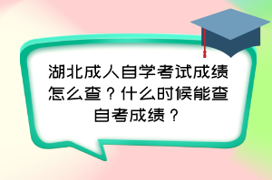 湖北成人自學(xué)考試成績(jī)?cè)趺床?？什么時(shí)候能查自考成績(jī)？