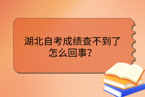 湖北自考成績(jī)查不到了怎么回事？