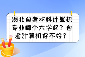 湖北自考本科計(jì)算機(jī)專業(yè)哪個(gè)大學(xué)好？自考計(jì)算機(jī)好不好？