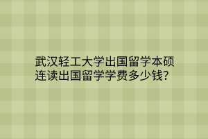 武漢輕工大學(xué)出國留學(xué)本碩連讀出國留學(xué)學(xué)費(fèi)多少錢？
