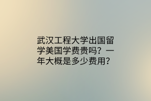 武漢工程大學(xué)出國留學(xué)美國學(xué)費貴嗎？一年大概是多少費用？
