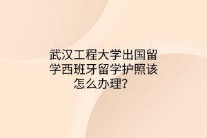 武漢工程大學(xué)出國留學(xué)西班牙留學(xué)護照該怎么辦理？