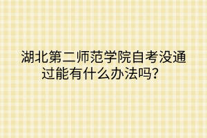 湖北第二師范學(xué)院自考沒通過能有什么辦法嗎？