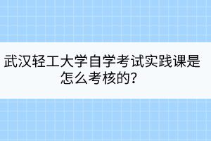 武漢輕工大學(xué)自學(xué)考試實(shí)踐課是怎么考核的？