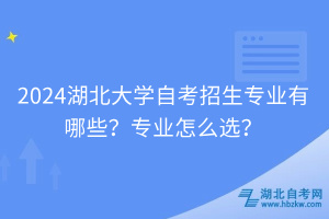 2024湖北大學(xué)自考招生專業(yè)有哪些？專業(yè)怎么選？