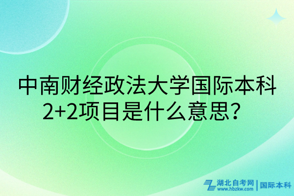 中南財經政法大學國際本科2+2項目是什么意思？