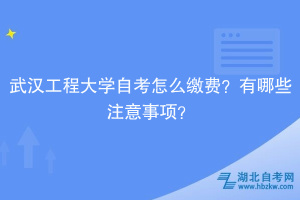 武漢工程大學(xué)自考?怎么繳費(fèi)？有哪些注意事項(xiàng)？