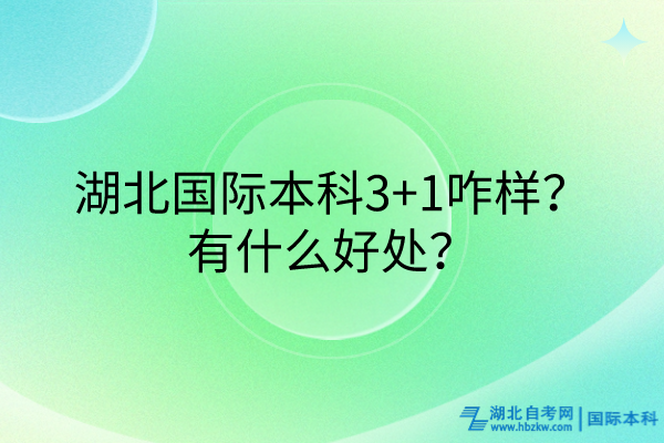 湖北國(guó)際本科3+1咋樣？有什么好處？