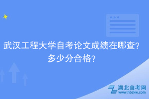 武漢工程大學自考論文成績在哪查？多少分合格？
