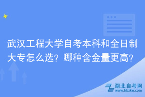 武漢工程大學(xué)自考本科和全日制大專怎么選？哪種含金量更高？