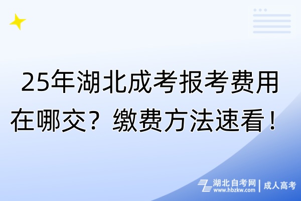 25年湖北成考報(bào)考費(fèi)用在哪交？繳費(fèi)方法速看！