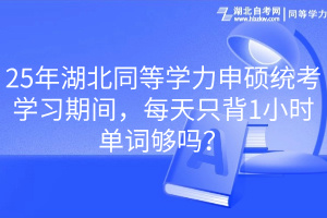 25年湖北同等學(xué)力申碩統(tǒng)考學(xué)習(xí)期間，每天只背1小時(shí)單詞夠嗎？