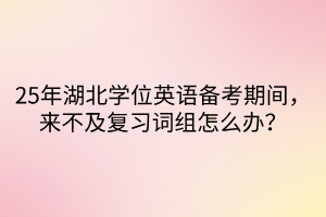 25年湖北學(xué)位英語備考期間，來不及復(fù)習(xí)詞組怎么辦？