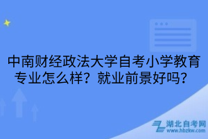 中南財(cái)經(jīng)政法大學(xué)自考小學(xué)教育專業(yè)怎么樣？就業(yè)前景好嗎？