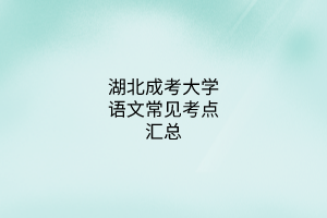 湖北成考大學(xué)語(yǔ)文常見(jiàn)考點(diǎn)匯總