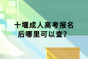 十堰成人高考報(bào)名后哪里可以查？