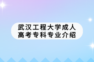 武漢工程大學(xué)成人高考專科專業(yè)介紹