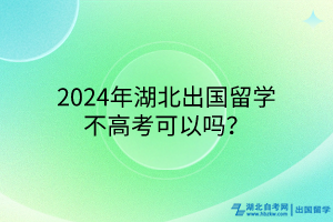 2024年湖北出國留學不高考可以嗎？