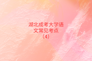 湖北成考大學(xué)語(yǔ)文常見(jiàn)考點(diǎn)（4）