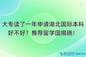 大專讀了一年申請湖北國際本科好不好？推薦留學(xué)國揭曉！
