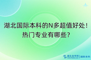 湖北國際本科的N多超值好處！熱門專業(yè)有哪些？