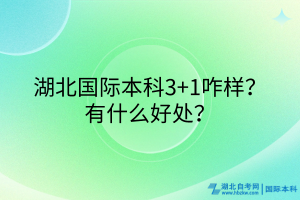 湖北國際本科3+1咋樣？有什么好處？