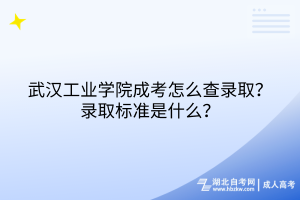 武漢工業(yè)學(xué)院成考怎么查錄?。夸浫?biāo)準(zhǔn)是什么？