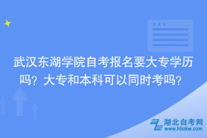 武漢東湖學院自考報名要大專學歷嗎？大專和本科可以同時考嗎？