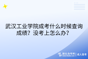 武漢工業(yè)學(xué)院成考什么時(shí)候查詢成績(jī)？沒考上怎么辦？