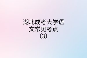 湖北成考大學(xué)語(yǔ)文常見(jiàn)考點(diǎn)（3）