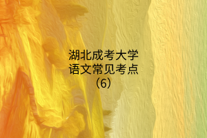 湖北成考大學(xué)語(yǔ)文常見(jiàn)考點(diǎn)（6）