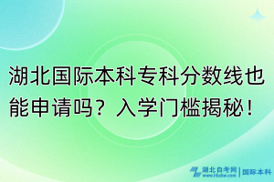 湖北國(guó)際本科?？品?jǐn)?shù)線也能申請(qǐng)嗎？入學(xué)門(mén)檻揭秘！