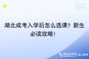 湖北成考入學(xué)后怎么選課？新生必讀攻略！